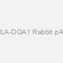 HLA-DQA1 Rabbit pAb